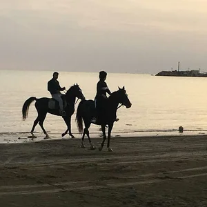 باشگاه سوارکاری جولان