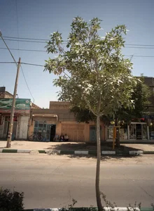 خواروبار فروشی