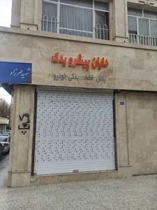دایان پیشرو یدک (DPY)