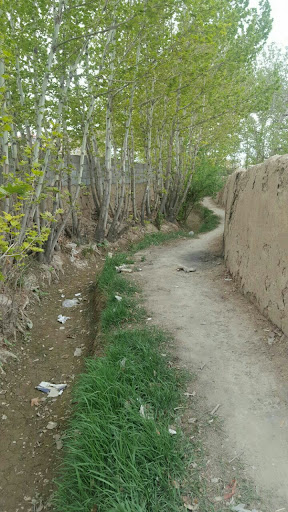 بیدینه