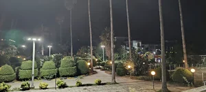 مجتمع آلاء