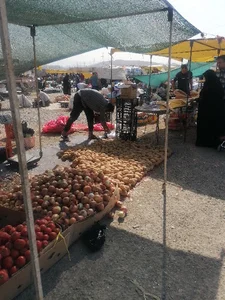 یکشنبه وچهارشنبه بازار مجیدیه