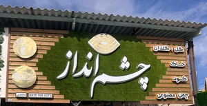 چمن مصنوعی چشم انداز 2