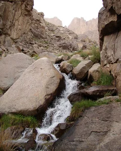 طزرجان یزد