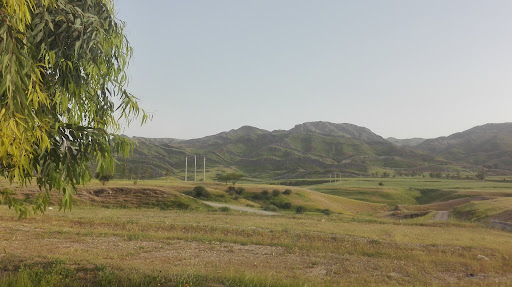 پارک جنگلی شقایق سردشت