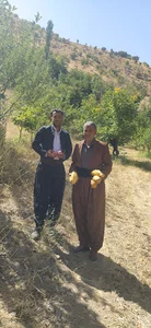 مصالح ساختمانی دل انگیز