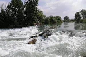 باشگاه بانوان بهار