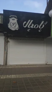 گل پامچال