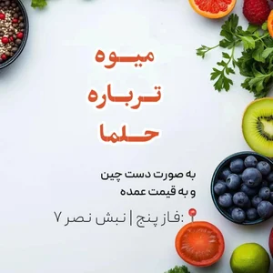 میوه و تره‌بار حلما 2