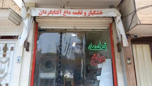 تخمه داغ آفتابگردان 4
