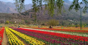 ایران استان مرکزی شهر محلات
