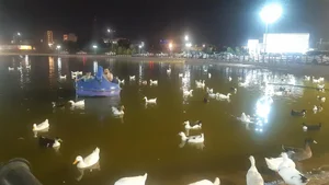 مجتمع فجر سپاه اهواز 3