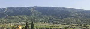 پارک جنگلی ششدار( ایل هزاره ارکوازی)