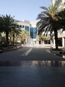College of Law