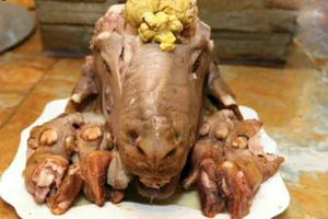 طباخی عمو فردوس