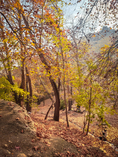 ابتدای مسیر کلکچال