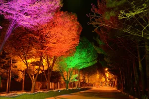 بوستان گلاب