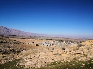 بیدزرد علیا