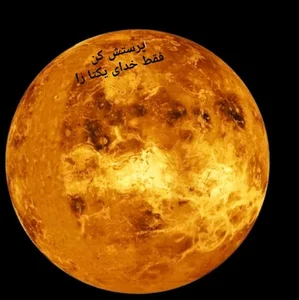 آپارتمان ارکیده
