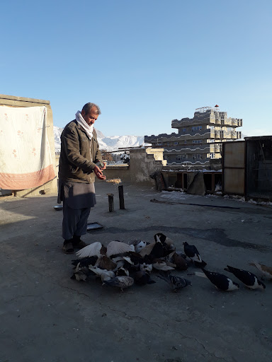 خانه مسکونی وحیدالله عمرخیل
