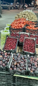 میوه فروشی به روز
