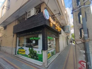 سبزیجات آماده سیزین باحچه