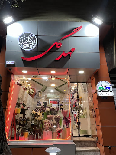 مهدگل2