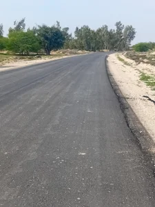 عالی چنگی