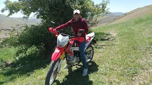 مافی ساحلی