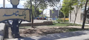 شاهد