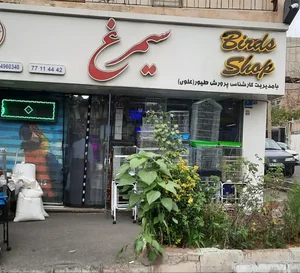 پرنده فروشی سیمرغ 3