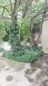 دبیرستان غیر دولتی دخترانه پیام دانش