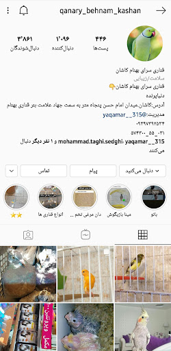 پرنده سرا بهنام