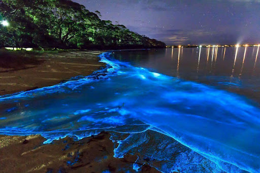 Vaadhoo