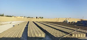 ناصر ملازهی