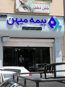 شرکت بیمه میهن، سرپرستی استان فارس