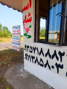 تعاونی مجاز قایق سواری شایان انزل شمال