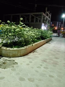 پارک شقایق 3