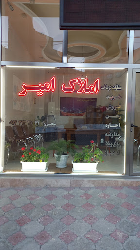 املاک امیر
