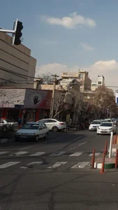 پروتئینی پنجم 3