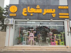 پت شاپ پسر شجاع