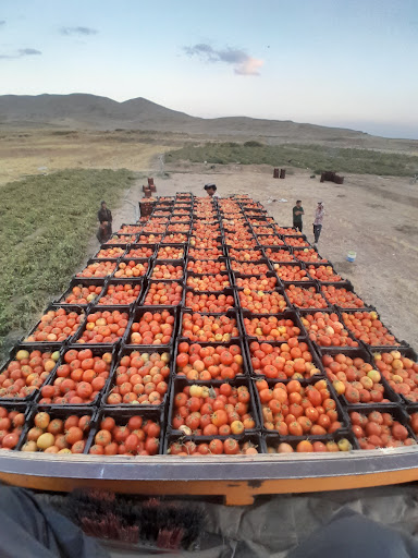 فلکه بسیج