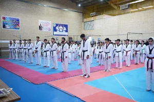 باشگاه نوین