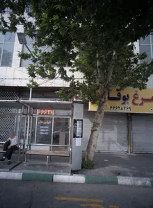 مرغ و بوقلمون