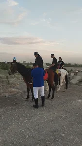 مجموعه گردشگری تفریحی و سوارکاری