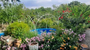 باغ نمونه فیض کوهسار