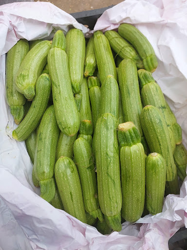 حق العمل کاری کاظم فرهنگیان