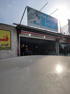 میوه تره بارکاوسی 2