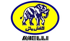 كفش ملی زاهدان 3