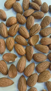 آجیل و خشکبار جهان نما